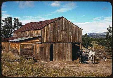 Minimalism and the Homesteading Life, Part 2 Image